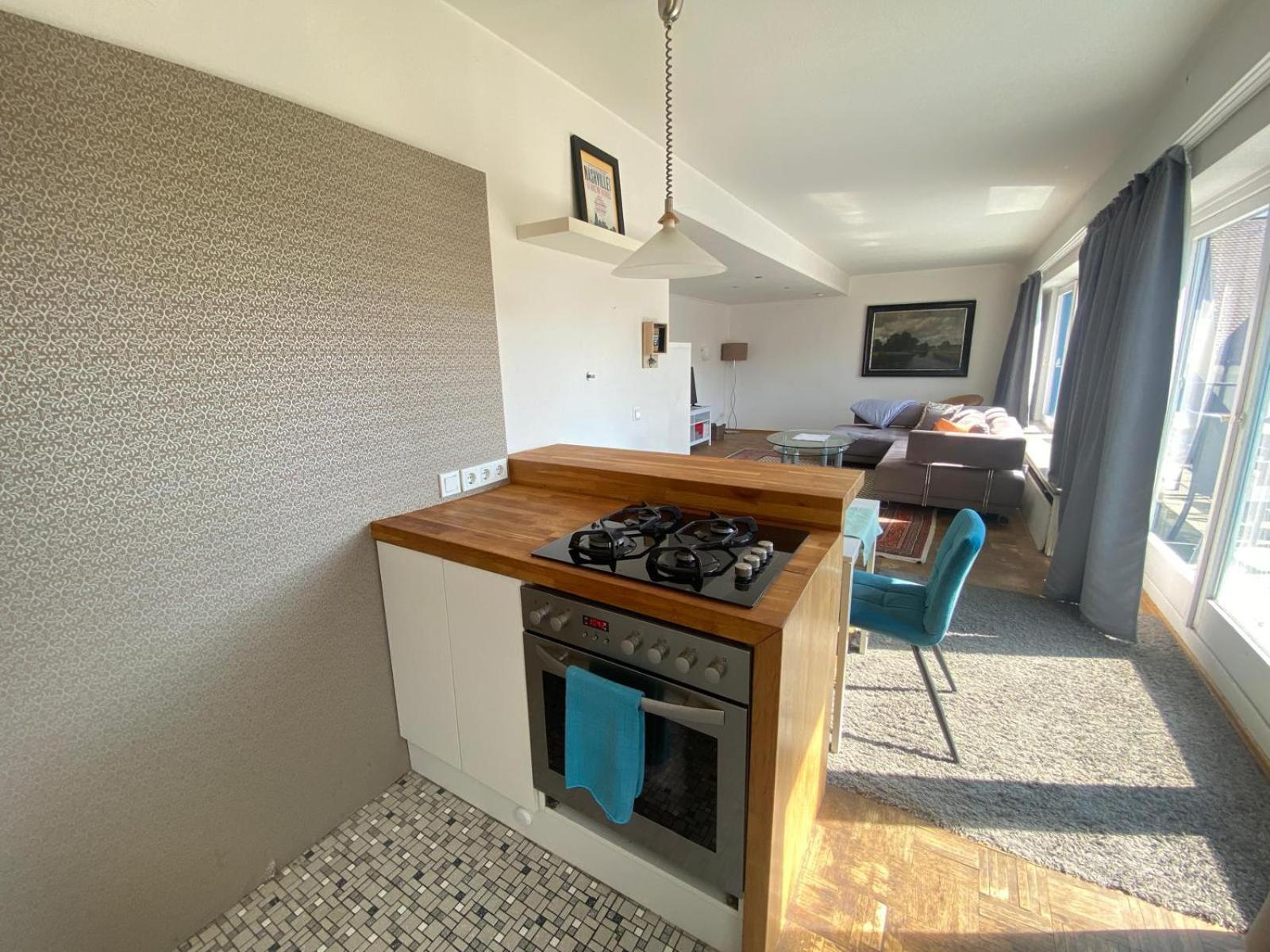 Apartment 3-zimmer-wohnung Mit Terrasse Und 2 Schlafzimmern Nuremberg